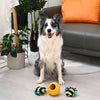 Puppy Garden Spring Buzz 'N' Hide Interactive Plush Squeaky Dog Toy Set - 3 Pc