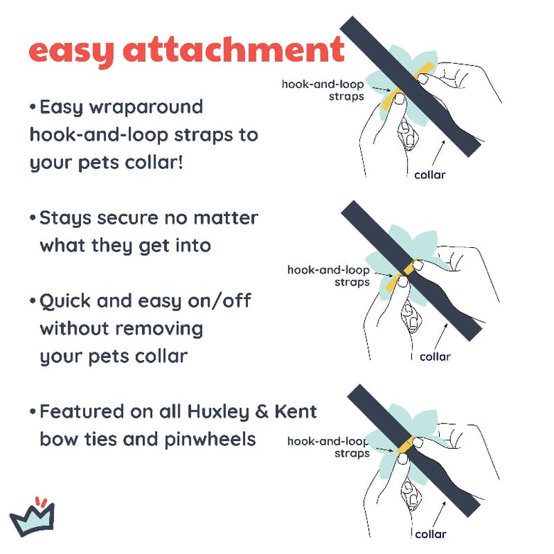 Huxley & Kent Bow Tie Summer Icons Pinwheel Pet Collar Attachment - 2 Sizes