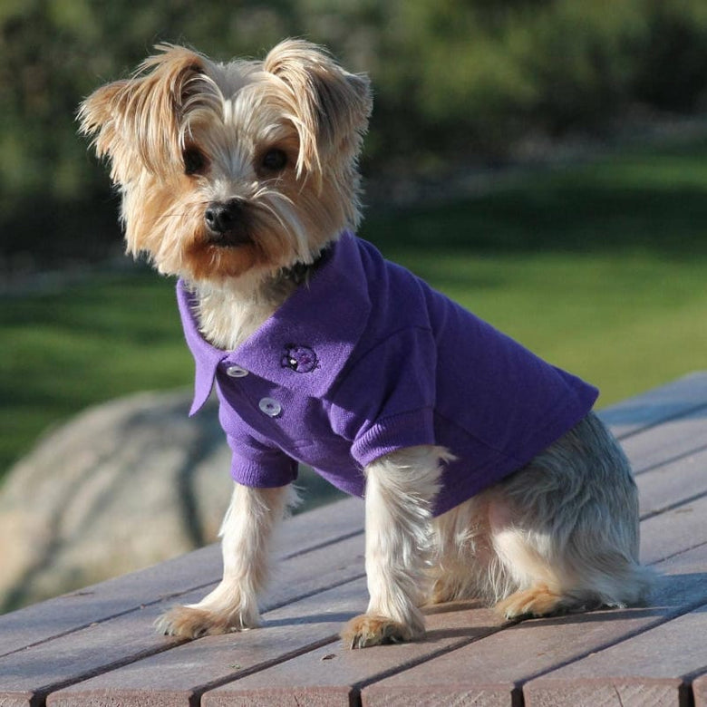 Doggie Design Tee's Ultra Violet Solid Collared Dog Polo Shirt