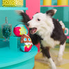 BARK dog toys Easter Cadfurry Eggs Spring Dog Toy Set - 2 Pk