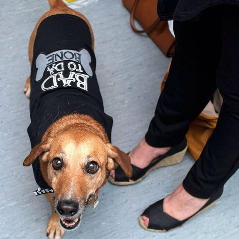 Parisian Pet Tee's Bad to da Bone Black Dog T-Shirt