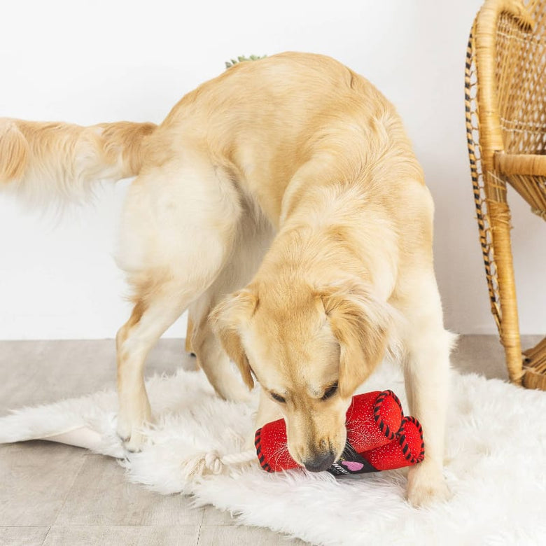 Pet Shop by Fringe Studio dog toys You're Dynamite Plush Squeak Dog Toy