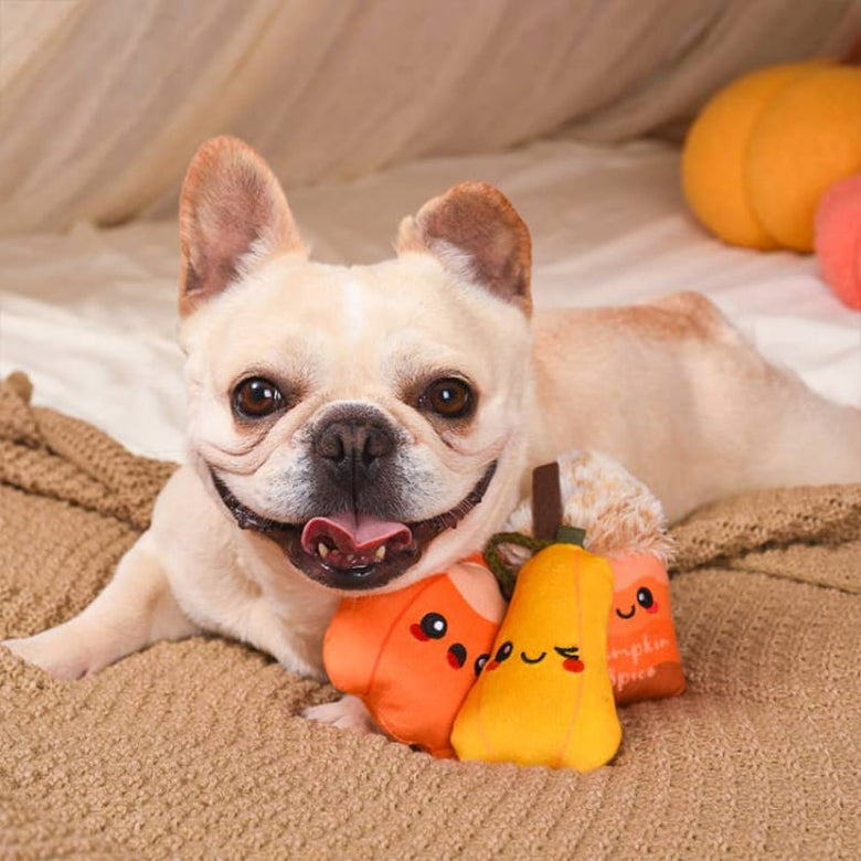 Hugsmart Products Inc dog toys Autumn Tailz Pumpkin Play Plush Squeak Dog Toy Set - 3 Pc
