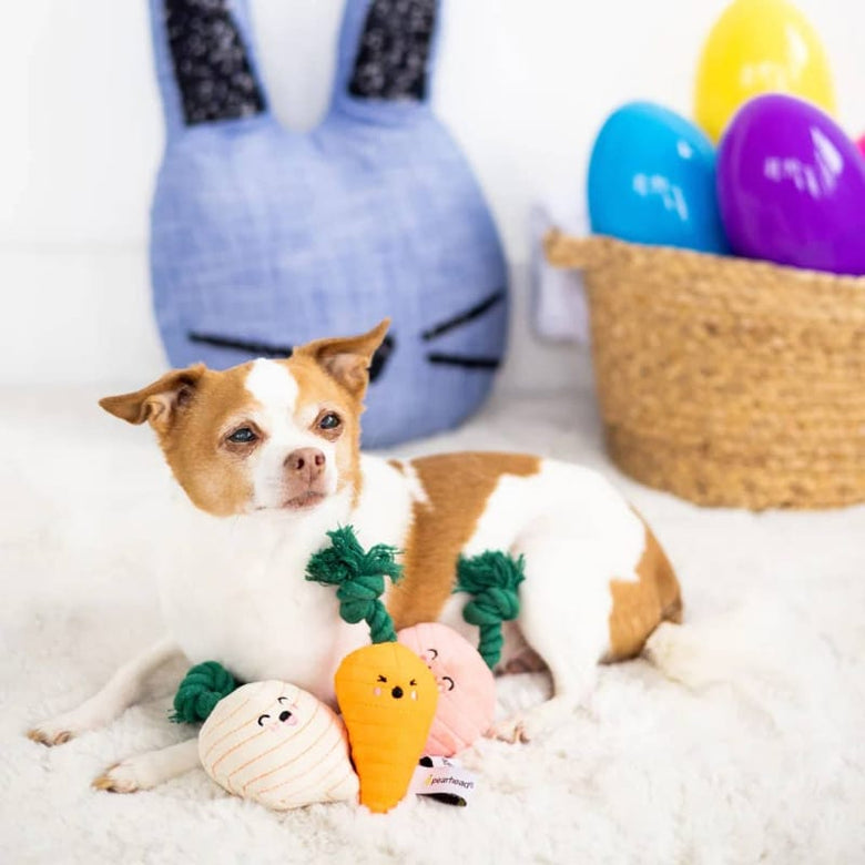 Pearhead, Inc. dog toys Spring Veggies Plush Dog Toy Set - 3 Pk