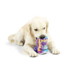 Huxley & Kent Huxley & Kent - Squeak 'n Peek Puppi Pop Grape Dog Toy: Small