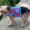 Doggie Design, Inc Harnesses XS Under the Sea Collection - Cool Mesh Dog Harness with Leash - Pink and Blue Flip Flop