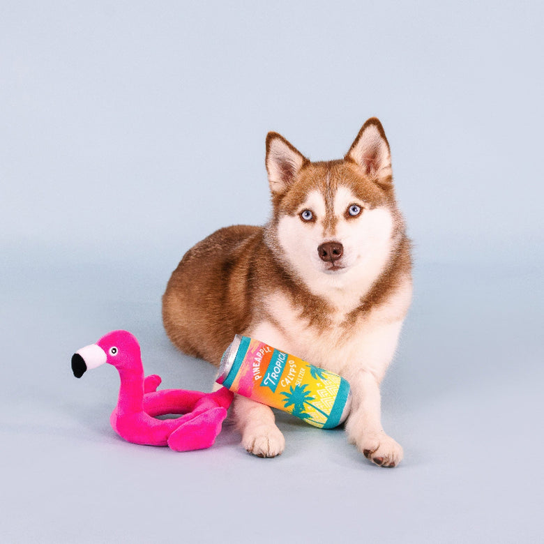 Pool Days, Sun Rays Pink Flamingo Beverage Plush Squeaky Dog Toy Set - 2 Pc