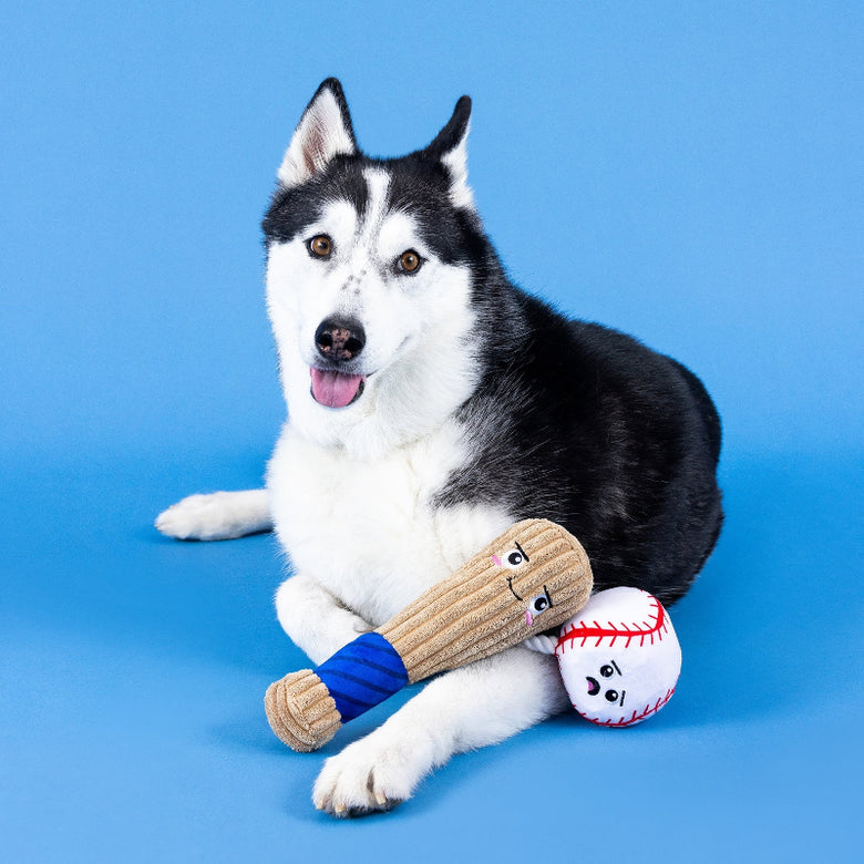 Batter Up Baseball Bat Ball Sports Plush Squeak Dog Toy
