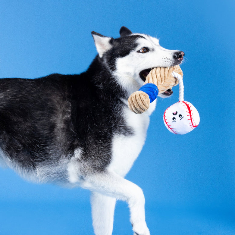 Batter Up Baseball Bat Ball Sports Plush Squeak Dog Toy
