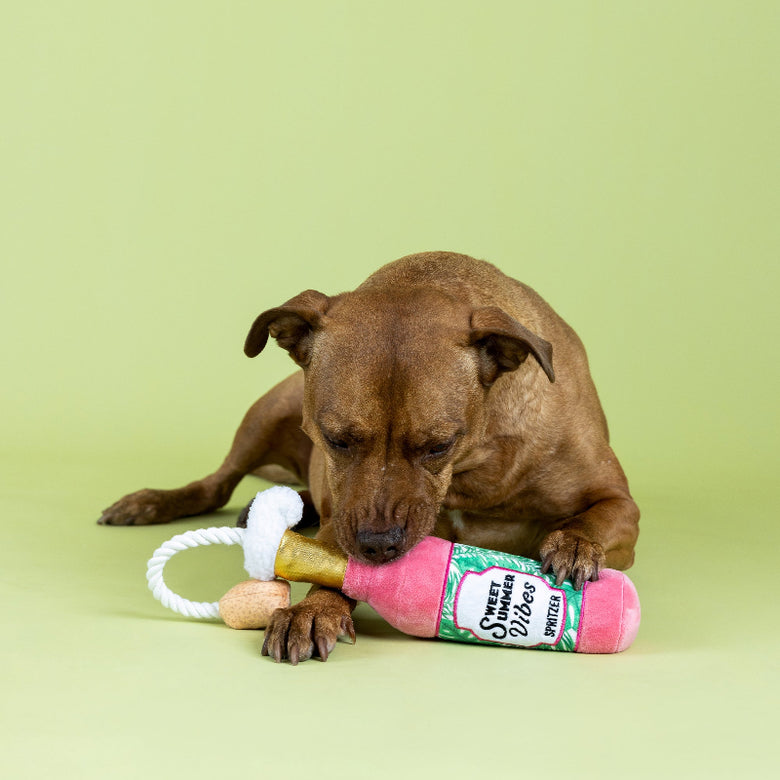 Sweet Summer Vibes Spritzer Bottle Rope Plush Squeaky Pink Dog Toy