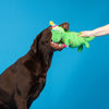 I'm How Old Birthday Rex Plush Squeaky Dog Toy