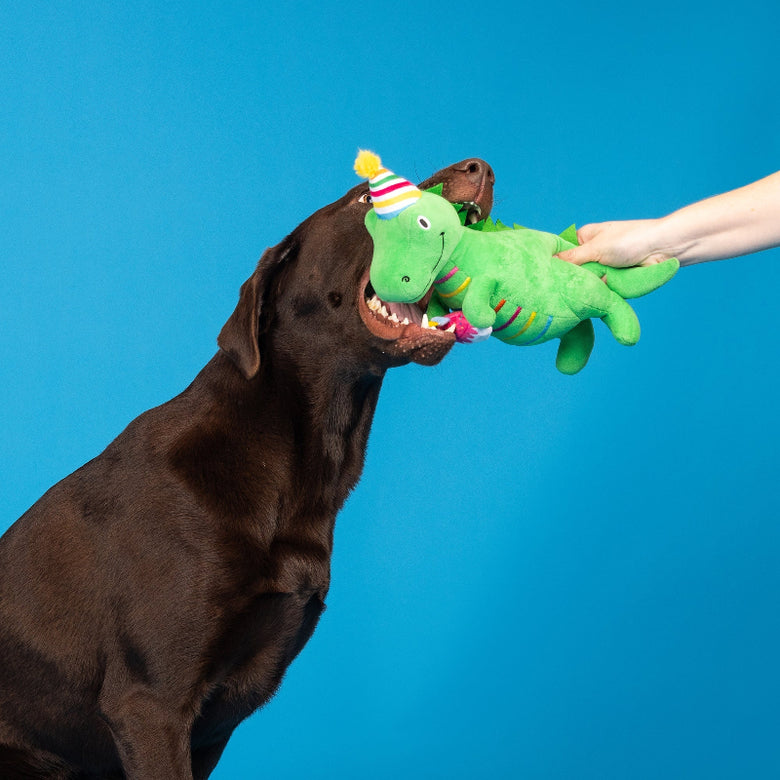 I'm How Old Birthday Rex Plush Squeaky Dog Toy