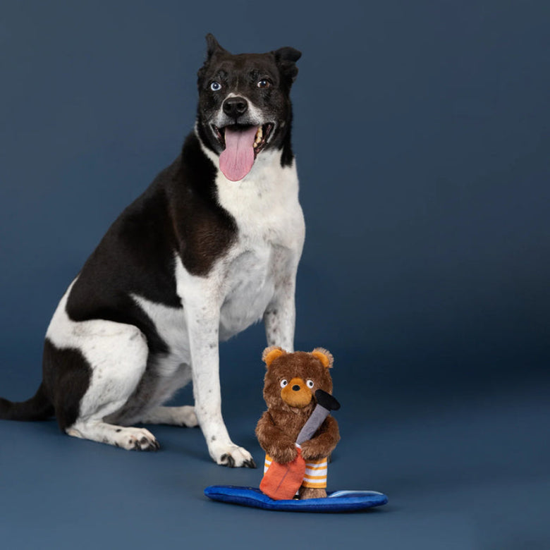 Water You Waiting For Lake Life Paddle Board Bear Plush Squeaky Dog Toy