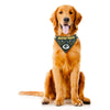 GB Packers Pet Bandana