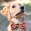 Huxley & Kent Huxley & Kent - Plaid-O-Lantern Bow Tie: Small