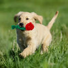 TM - FUNNYSNOW dog toys Plush Red Rose Flower Rope Tug Dog Toy