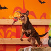 BARK dog toys Halloween Jack-Crow-Lantern Plush Squeak Rope Tug Dog Toy