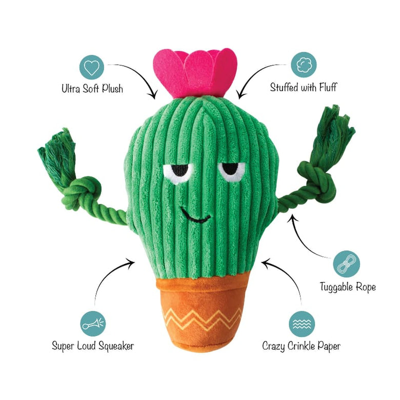 Petshop by Fringe Studio Dog Toys You Grow Chica! Spring Cactus Plush Squeak Dog Toy