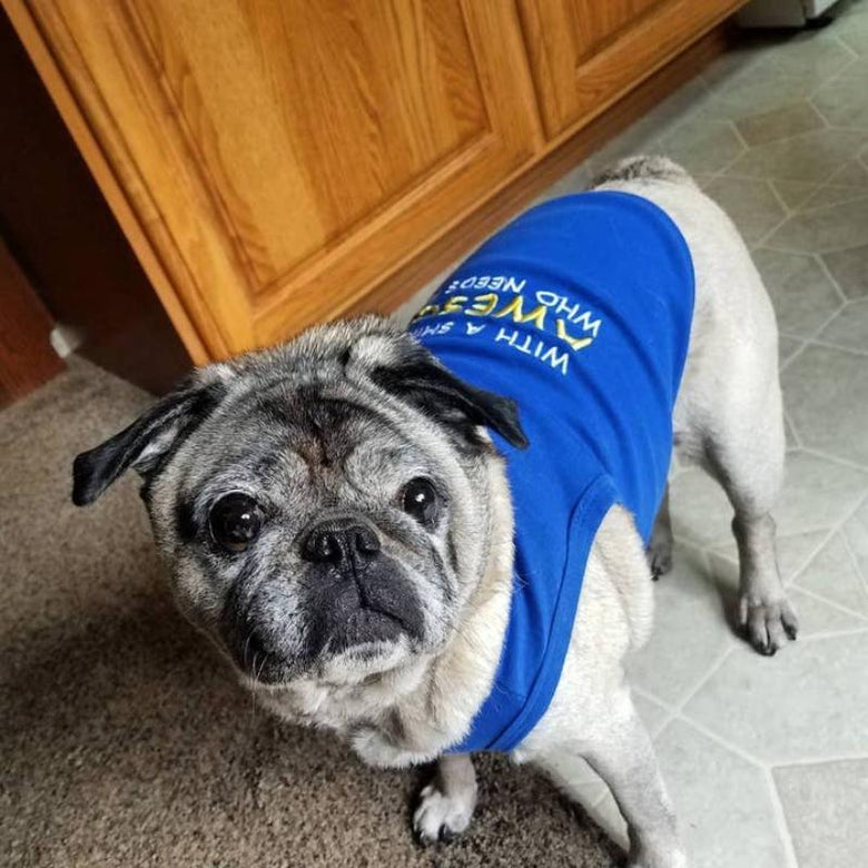 Parisian Pet Tee's Awesome Dog Tee