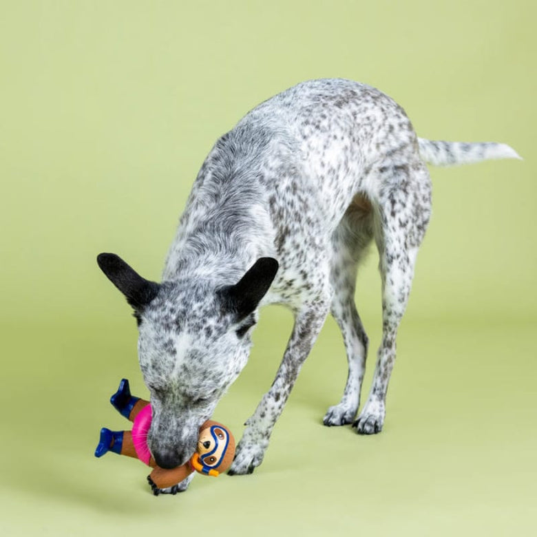 Petshop by Fringe Studio dog toys Eat Sleep Snorkel Sloth Bikini Latex Squeaker Dog Toy