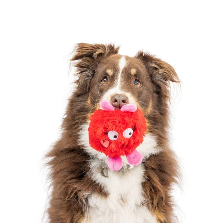 Huxley & Kent dog toys Fur Bug Plush Dog Toy