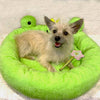 TONBO pet beds Frog Pet Bed and Wand Crinkle Toy