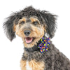 Huxley & Kent Bow Tie Summer Icons Pinwheel Pet Collar Attachment - 2 Sizes