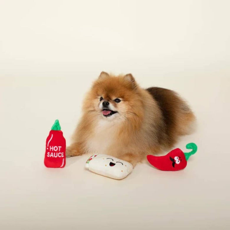 Pet Shop by Fringe Studio dog toys Hot and Spicy Plush Dog Toy Set - 3 Pc
