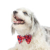 Huxley & Kent Huxley & Kent - Patriot Stars Bow Tie: Small