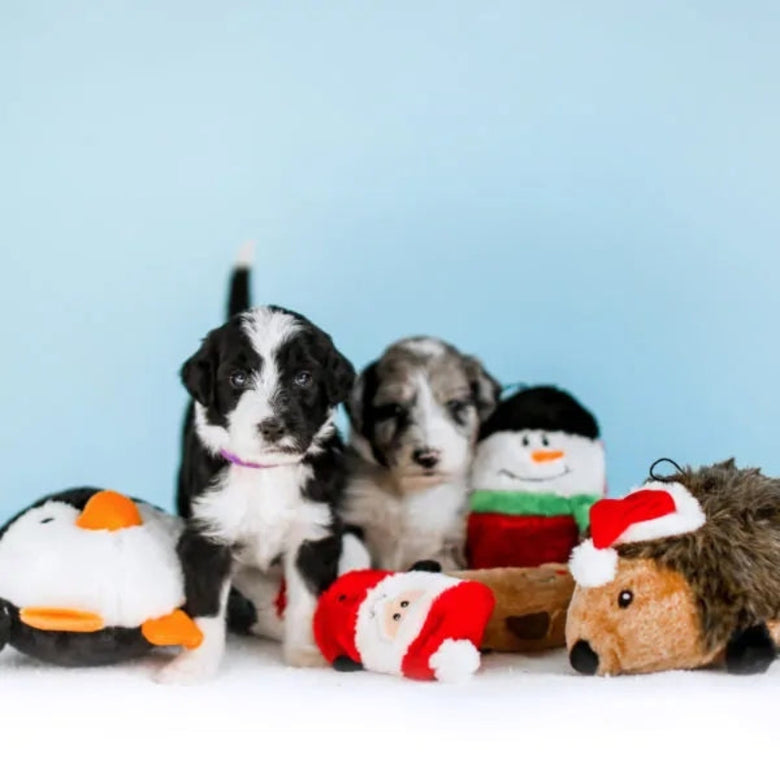 Holiday Squeakie Buddies Christmas Santa, Snowman, Reindeer Dog Toys Set - 3 pk