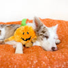 ZippyPaws dog toys Halloween Brainey Pumpkin Plush Squeak Dog Toy