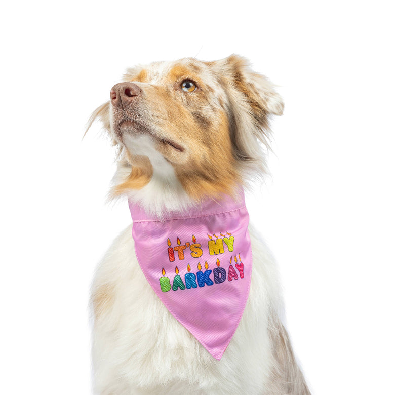 Huxley & Kent Huxley & Kent - Party Time Pink Bandana 2.0: Pink / Small