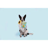 BARK dog toys Funflower Seeds Daisy Plush Rope Dog Toy
