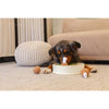 Injoya dog toys Chicken n’ Gravy Snuffle Bowl Dog Toy Set