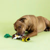 Petshop by Fringe Studio Dog Toys I'm Pollen For You! Bee & Flower Rope Plush Squeak Dog Toy Set