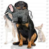 VIP Products/Tuffy dog toys Tuffy Zoo Series Emery Elephant Durable Tough Dog Toy - 2 Sizes