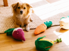 Radish Crinkle Crops Leafy Plush Squeaky Crinkle Dog Toy