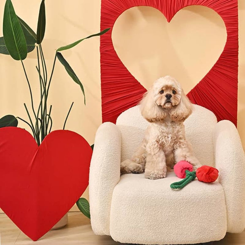 Hugsmart Products Inc Dog Toys Woof Love Vday Rose Cluster Rope Plush Dog Toy Set