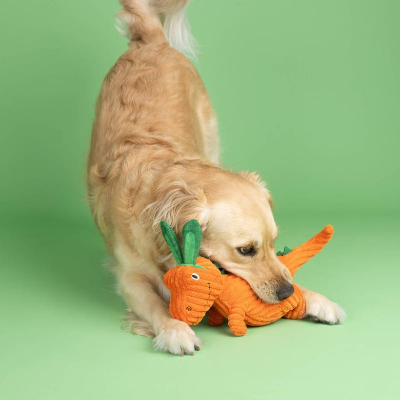 Petshop by Fringe Studio dog toys "Carrot Bout You" Bunny Ears Rex Easter Spring Plush Squeaky Dog Toy