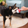 Hugsmart Products Inc dog toys Picnic Time Backyard Picnic Plush Dog Toy Set - 3 Pc