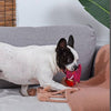 Hugsmart Products Inc dog toys Fuzzy Friendz Mesh Dinosaur Heart Rexy Squeak Dog Toy - 2 sizes