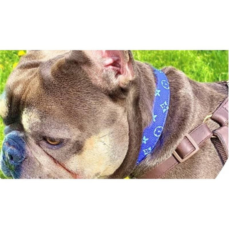BARK by DOG Collars Lauren Luxury Blue Dog Collar
