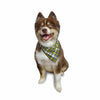 Barker's Bowtique Barker's Bowtique - May the Fetch be with You Dog Bandana - reversible: XS