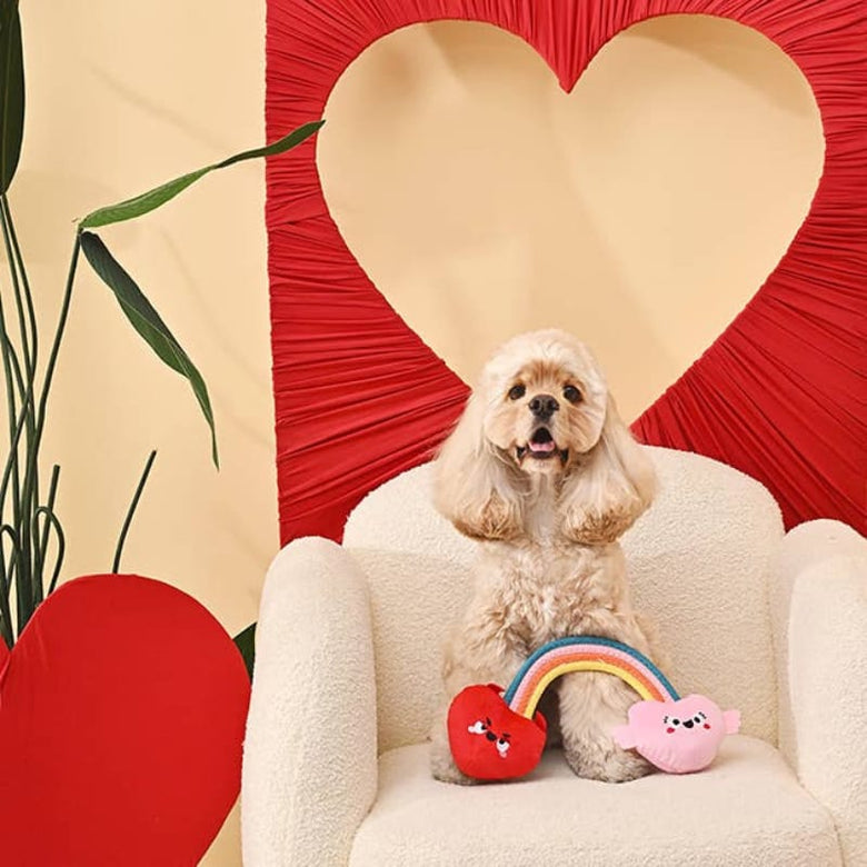Hugsmart Products Inc Dog Toys Woof Love Rainbow Heart Plush Squeak Rope Dog Toy