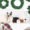PetShop by Fringe Studio Toys A Hole Lot of Holiday Fun Dog Toy Set - 3 Pc