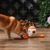 Hugsmart Products Inc dog toys Food Party Orange Jam Interactive Plush Dog Toy Set - 4 Pc