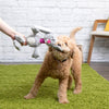 GoDog dog toys Multi Tugs Grey Rabbit Easter Spring Plush Squeak Rope Dog Toy
