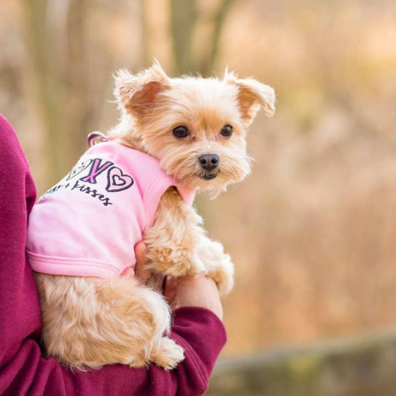Parisian Pet Tee's XOXO Hugs & Kisses Pink Dog Tee