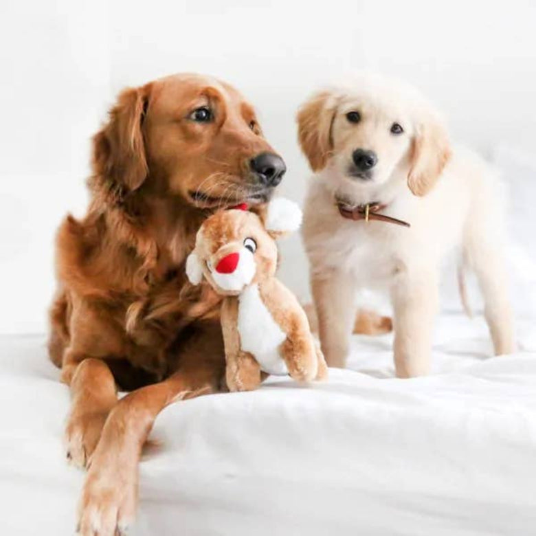 Christmas Holiday Deluxe Reindeer Plush Squeaky Dog Toy