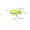 Barktender Pup-Arita with Lime Crinkle Plush Squeaky Dog Toy
